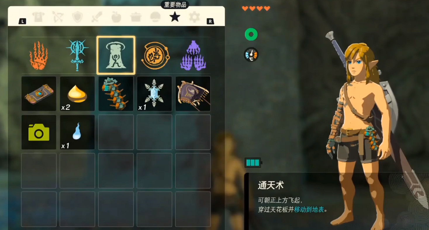 《塞爾達傳說王國之淚》技能大全