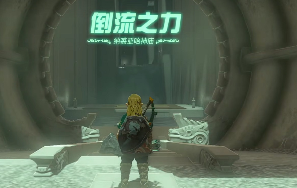 《塞爾達傳說王國之淚》技能大全