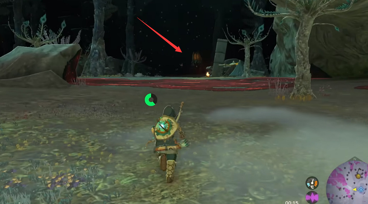 《塞爾達傳說王國之淚》技能大全