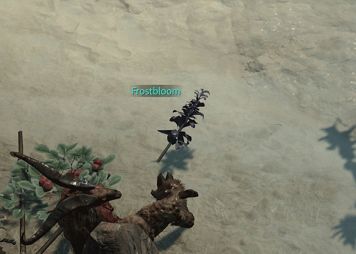 《暗黑破壞神4》全支線任務攻略指南