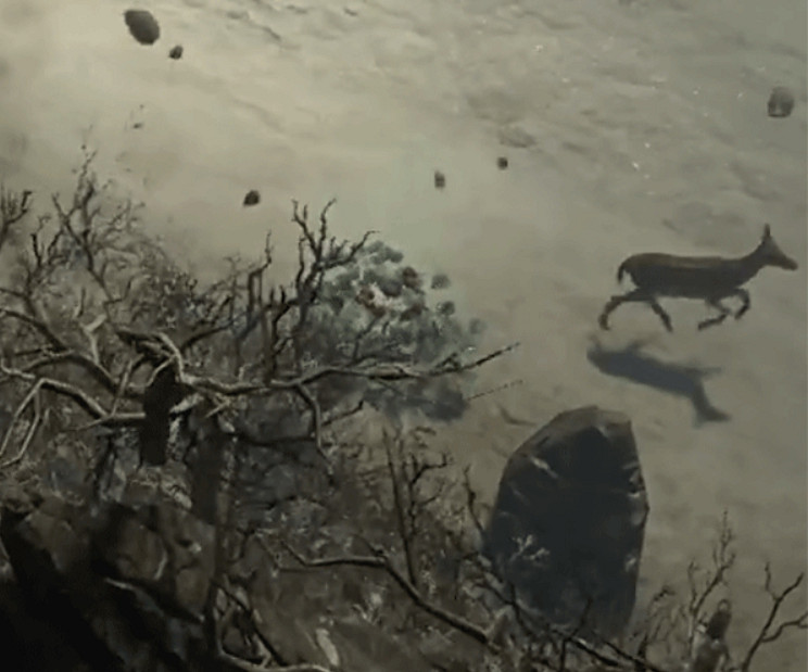 《暗黑破壞神4》全支線任務攻略指南