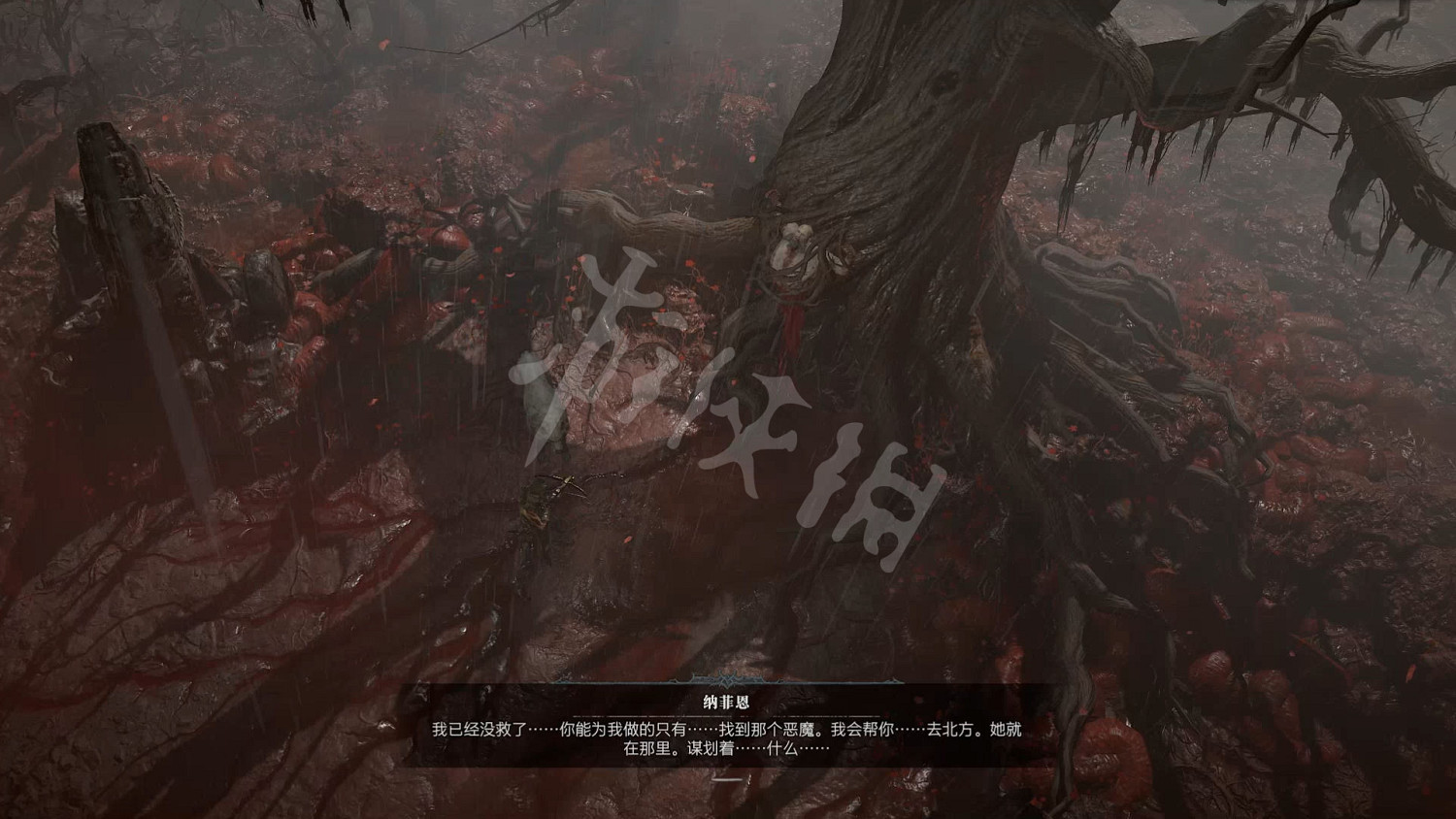 《暗黑破壞神4》圖文攻略 全流程全Boss全裝備全祭壇全職業 《暗黑破壞神4》圖文攻略 全流程全Boss全裝備全祭壇全職業