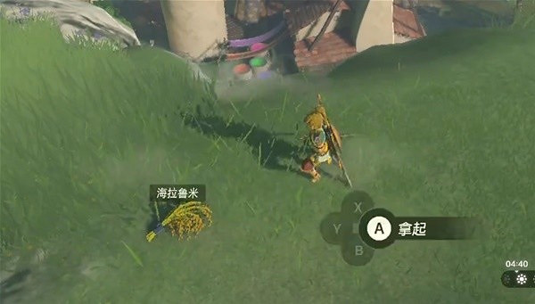 《塞爾達傳說王國之淚》海拉魯米獲取教學 海拉魯米在哪？