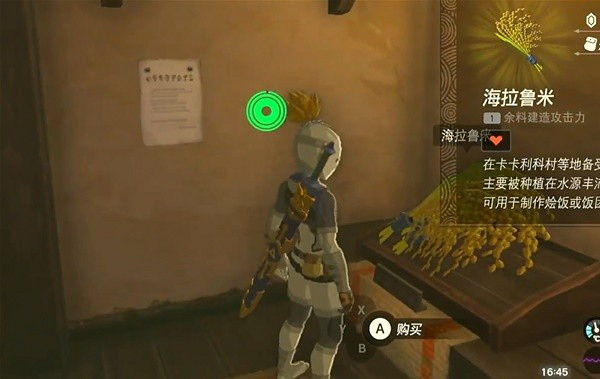 《塞爾達傳說王國之淚》海拉魯米獲取教學 海拉魯米在哪？
