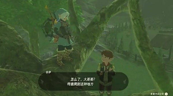 《塞爾達傳說王國之淚》大妖精之泉快速解鎖攻略  大妖精之泉怎麽解鎖？