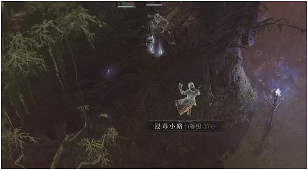 《暗黑破壞神4》蜿蜒曲徑任務怎麽做? 蜿蜒曲徑攻略 《暗黑破壞神4》蜿蜒曲徑任務怎麽做? 蜿蜒曲徑攻略