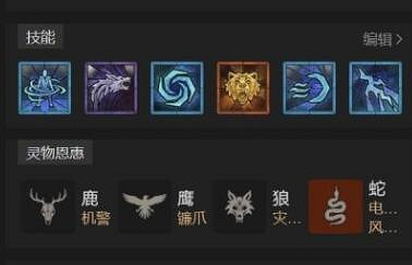 《暗黑破壞神4》德魯伊風暴舞大狼體系怎麽樣?風暴舞大狼體系bd思路 《暗黑破壞神4》德魯伊風暴舞大狼體系怎麽樣?風暴舞大狼體系bd思路