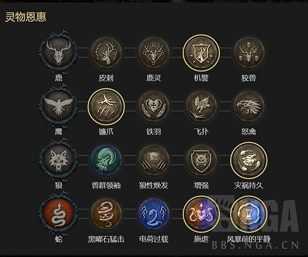 《暗黑破壞神4》德魯伊風暴舞大狼流分享 風暴舞大狼流怎麽玩? 《暗黑破壞神4》德魯伊風暴舞大狼流分享 風暴舞大狼流怎麽玩?