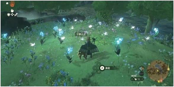 《塞爾達傳說王國之淚》寧靜公主速刷位置推薦 寧靜公主在哪刷？