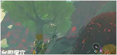 《塞爾達傳說王國之淚》蜂蜜在哪獲得？ 蜂蜜獲取攻略