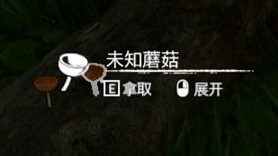 《綠色地獄》全植物訊息分享 《綠色地獄》全植物訊息分享