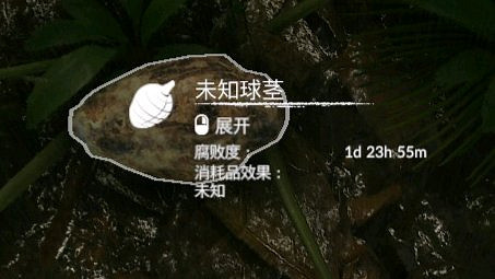 《綠色地獄》全植物訊息分享 《綠色地獄》全植物訊息分享