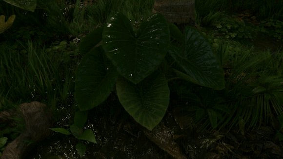 《綠色地獄》全植物訊息分享 《綠色地獄》全植物訊息分享