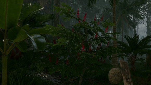 《綠色地獄》全植物訊息分享 《綠色地獄》全植物訊息分享