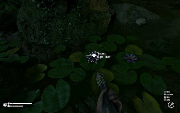 《綠色地獄》全植物訊息分享 《綠色地獄》全植物訊息分享