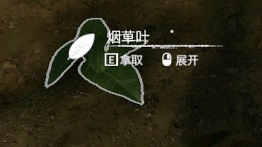 《綠色地獄》全植物訊息分享 《綠色地獄》全植物訊息分享