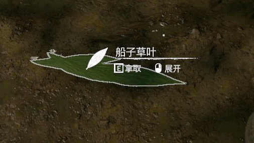 《綠色地獄》全植物訊息分享 《綠色地獄》全植物訊息分享