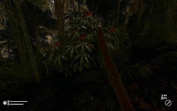 《綠色地獄》全植物訊息分享 《綠色地獄》全植物訊息分享