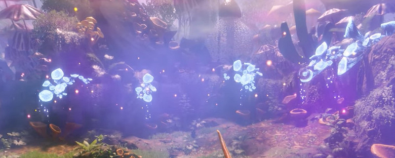 綠色地獄箭毒蛙怎麽捕捉