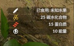 《綠色地獄》全植物訊息分享 《綠色地獄》全植物訊息分享