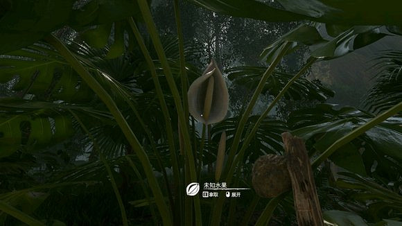 《綠色地獄》全植物訊息分享 《綠色地獄》全植物訊息分享