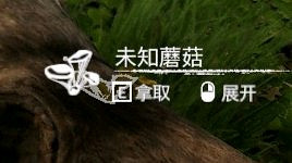 《綠色地獄》全植物訊息分享 《綠色地獄》全植物訊息分享