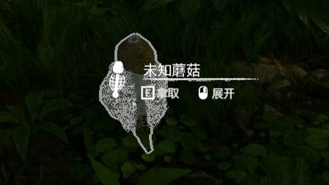 《綠色地獄》全植物訊息分享 《綠色地獄》全植物訊息分享