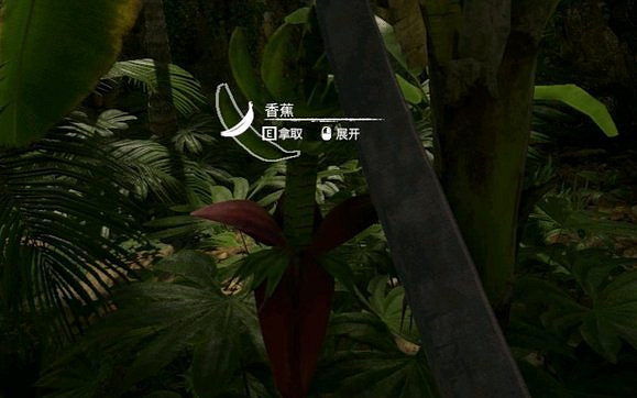 《綠色地獄》全植物訊息分享 《綠色地獄》全植物訊息分享