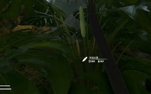 《綠色地獄》全植物訊息分享 《綠色地獄》全植物訊息分享