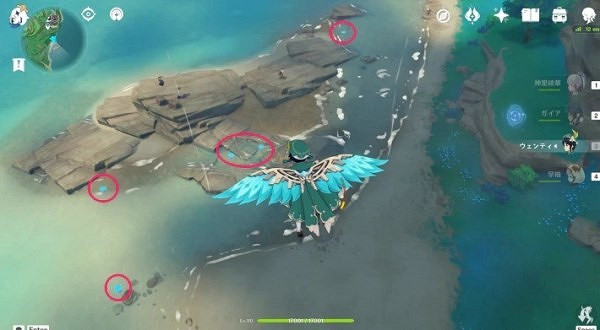 《原神》海靈芝收集攻略   海靈芝怎麽收集？