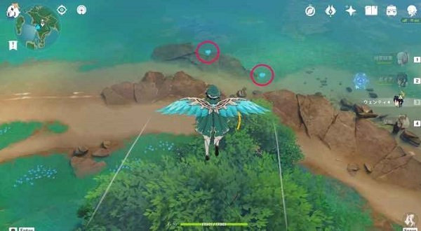 《原神》神無塚海靈芝收集攻略   海靈芝怎麽收集？