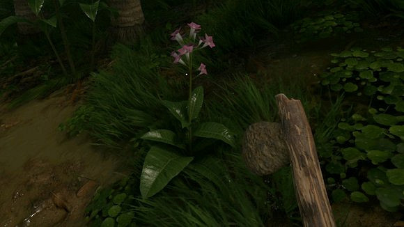 《綠色地獄》全植物訊息分享 《綠色地獄》全植物訊息分享