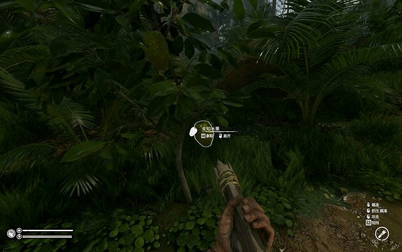 《綠色地獄》全植物訊息分享 《綠色地獄》全植物訊息分享