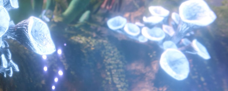 綠色地獄新手第一次玩要注意什麽 綠色地獄新手第一次玩要注意什麽