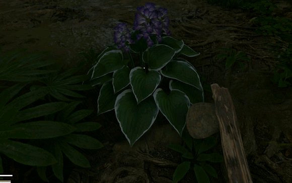 《綠色地獄》全植物訊息分享 《綠色地獄》全植物訊息分享