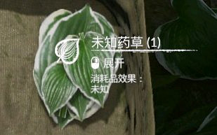 《綠色地獄》全植物訊息分享 《綠色地獄》全植物訊息分享