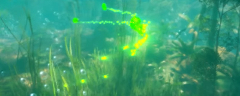 綠色地獄樹上掛著的人在哪 綠色地獄樹上掛著的人在哪