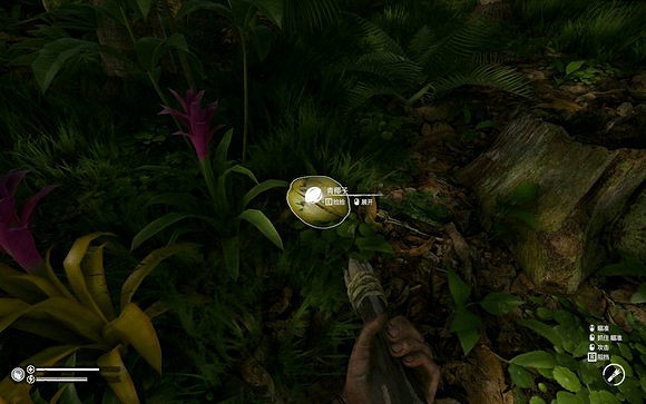 《綠色地獄》全植物訊息分享 《綠色地獄》全植物訊息分享