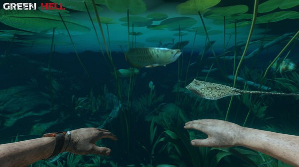 《綠色地獄》全植物訊息分享 《綠色地獄》全植物訊息分享