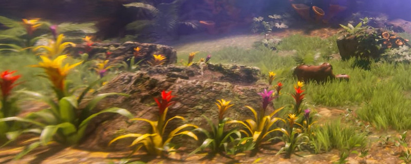 綠色地獄湯料有什麽種類