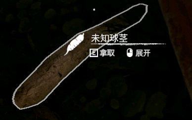 《綠色地獄》全植物訊息分享 《綠色地獄》全植物訊息分享