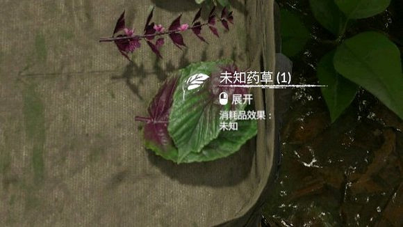 《綠色地獄》全植物訊息分享 《綠色地獄》全植物訊息分享