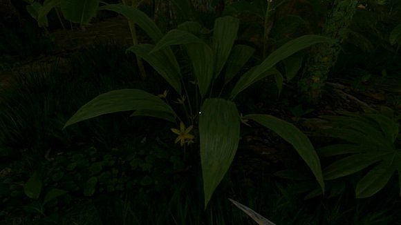 《綠色地獄》全植物訊息分享 《綠色地獄》全植物訊息分享