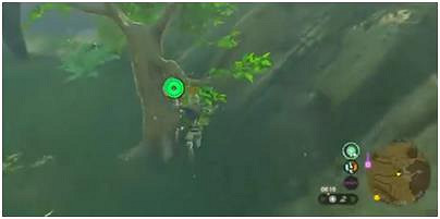 《塞爾達傳說王國之淚》蜂蜜在哪獲得？ 蜂蜜獲取攻略