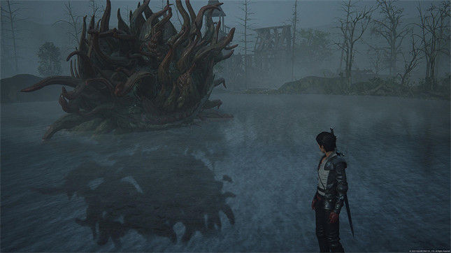 試玩過《FF16》之後，誰還能說年度遊戲已經穩了呢？