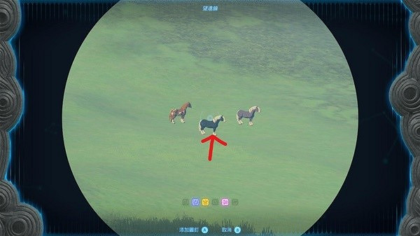 《塞爾達傳說王國之淚》445馬匹捕捉位置 445馬匹在哪抓？