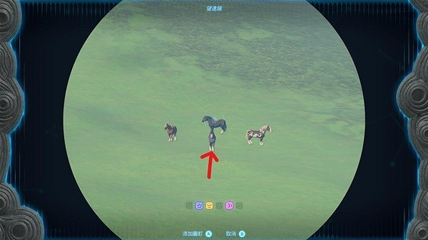 《塞爾達傳說王國之淚》445馬匹捕捉位置 445馬匹在哪抓？