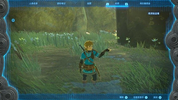 《塞爾達傳說王國之淚》寧靜公主採集地點分享 寧靜公主在哪採？