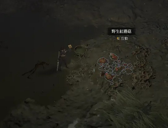 《暗黑破壞神4》紅色蘑菇在哪？紅色蘑菇採集攻略