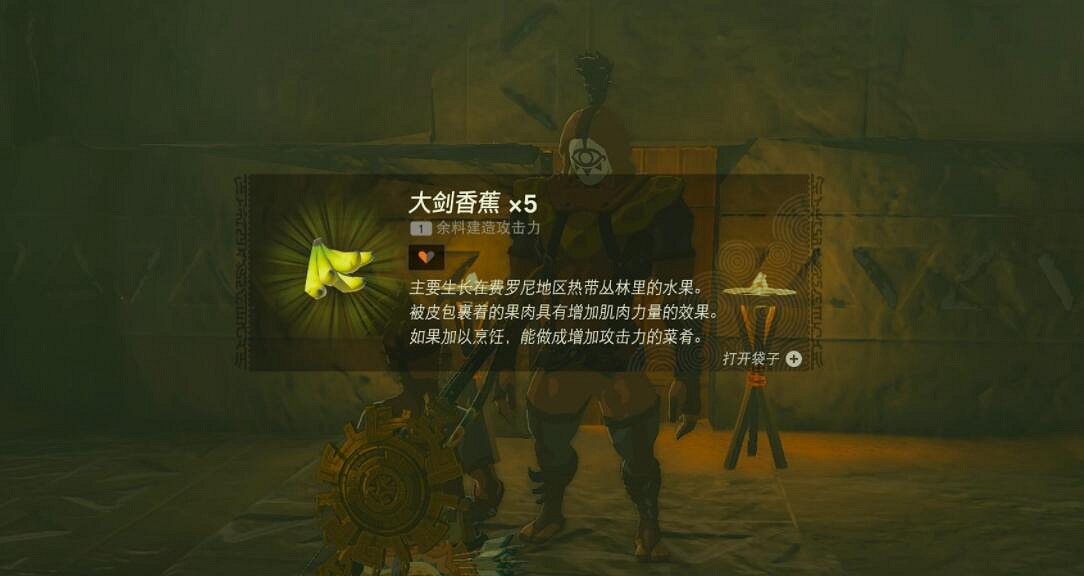 《塞爾達傳說王國之淚》伊蓋隊考核任務怎麽做？伊蓋隊的幹部考核攻略